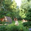 Langstone Manor Caravan & Camping Park, Tavistock