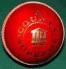 Reader County Supreme Cricket Ball