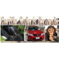 R&N Xplorer Africa Safaris, Gorilla Safaris Rwanda - www.gorillasafarisrwanda.com