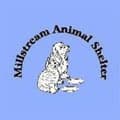 Millstream Animal Shelter, Manchester
