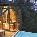 Garden Route - Plettenberg Bay Tsala Treetop Lodge