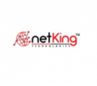 Netking Technologies - www.netkingtechnologies.com