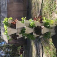 Stack. Grow. Eat. - www.stackgroweat.com