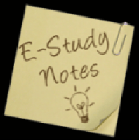 Estudynotes - www.estudynotes.com