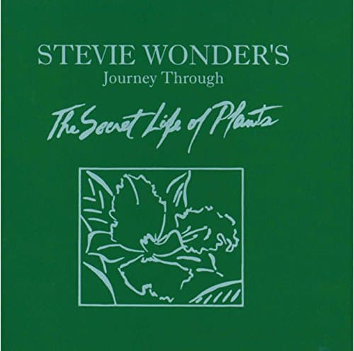 Stevie Wonder, Journey Through the Secret Life of Plants