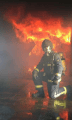 J Taylor Fire Risk Assessments - firewhisperer.com