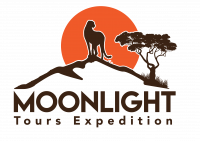 Moonlight Tours Expedition - moonlighttoursexpedition.com
