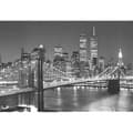 Photo Wallpaper New York Twin Towers Wall Mural
