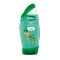 Radox Refresh Shower Gel & Shampoo