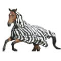 Bucas Buzz Off Fly Rug
