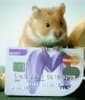 Mint Card
