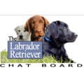 Labrador Forum www.lab-retriever.net/board