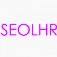 SEO LHR - www.seolhr.com