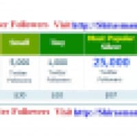 Shirasmane Software Solution - www.shirasmane.com