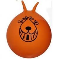 TST Space Hopper