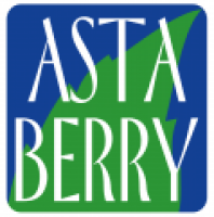 Astaberry - www.astaberry.com