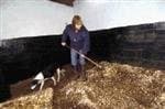 Rydal Mount Livery Stables, Cumbria