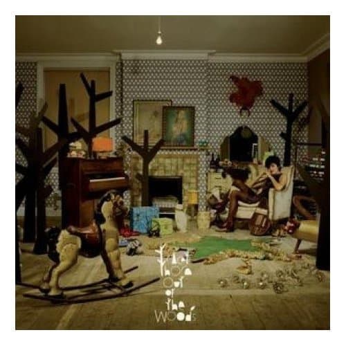 Tracey Thorn, Out of the Woods