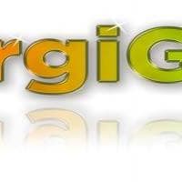 Energiglass - www.energiglass.co.uk
