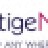 Prestige Network - www.prestigenetwork.com