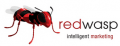 Red Wasp Marketing - www.red-wasp.co.uk