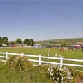 Penhalwyn Trekking Centre & School, St Ives