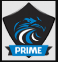 Prime International Security Inc - www.primeinternationalsecurity.com