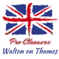 Pro Cleaners Walton on Thames - cleaningserviceswaltononthames.co.uk
