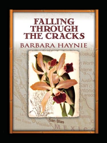 Barbara Haynie, Falling Through the Cracks