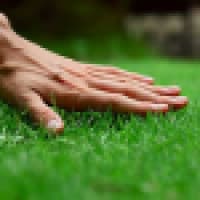Online Turf - www.onlineturf.co.uk