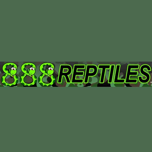888 Reptiles - www.888reptiles.co.uk