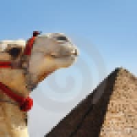 FTS Travels - www.fts-travels.com