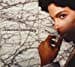 Prince, Musicology