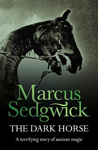 Marcus Sedgwick The Dark Horse