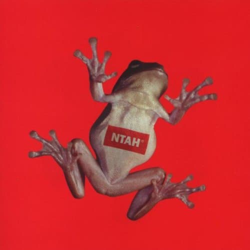Adrian Sherwood, Never Trust a Hippy