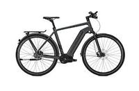 Kalkhoff Electric Bike