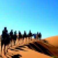 Camel Trekking Path - www.cameltrekkingpath.com