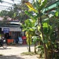 Siem Reap, Angkor Palm Garden Lodge