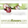 Serenata Flowers, www.serenataflowers.com