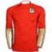 Wales Home