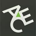 ACE Travel Insurance www.aceinsure.com