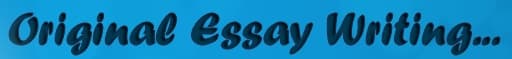 Original Essay Writing - www.originalessaywriting.com