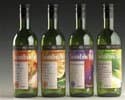 Gourmet Kombucha Probiotic