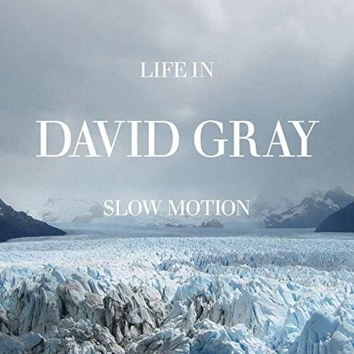 David Gray, Life in Slow Motion