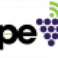 Grapevine Digital - www.grapevined.com