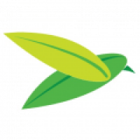 The Baya Company - www.thebayacompany.com