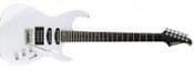 Silvertone Shredder